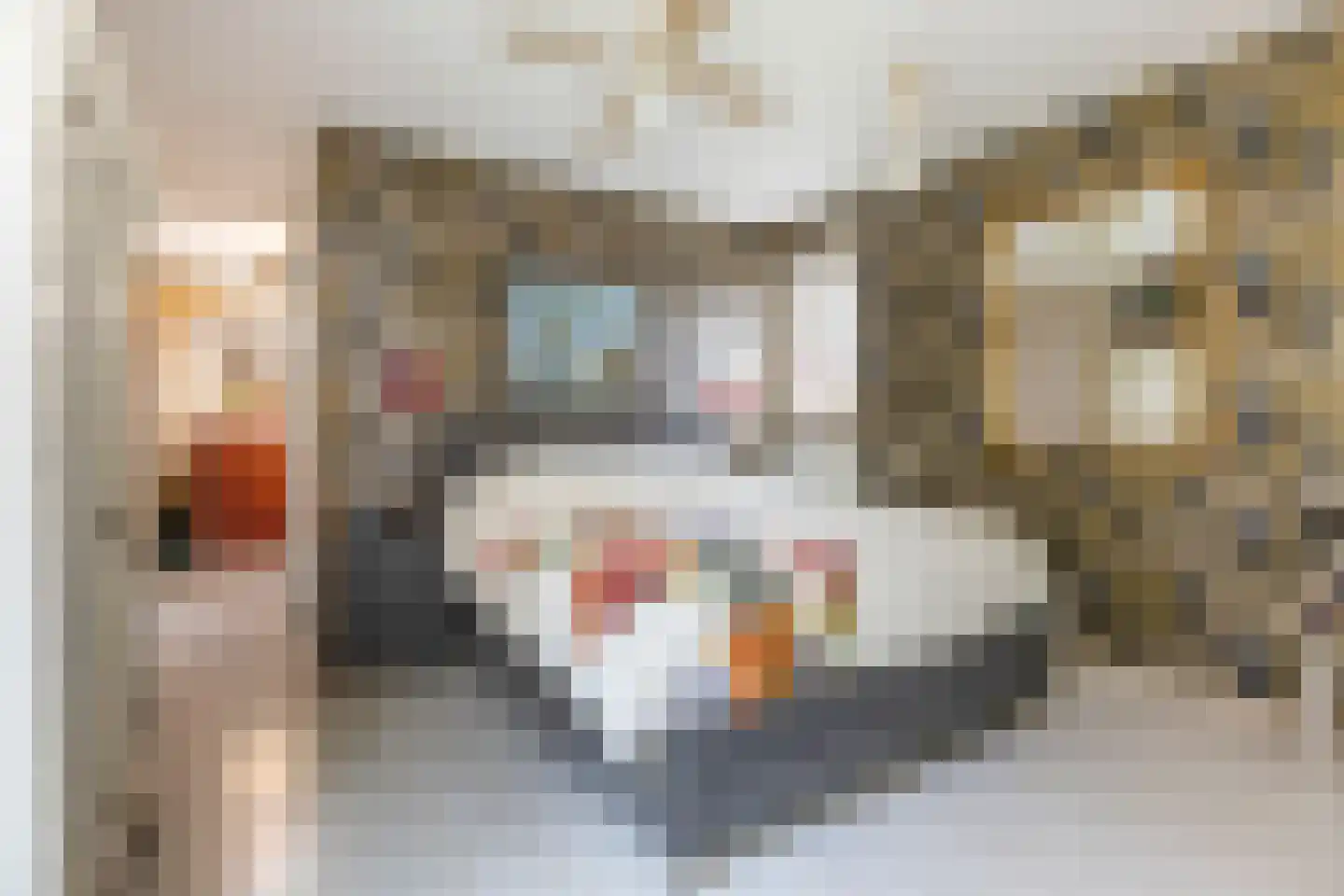 Gerichtstraat 3 Ten Boer thumbnail 21
