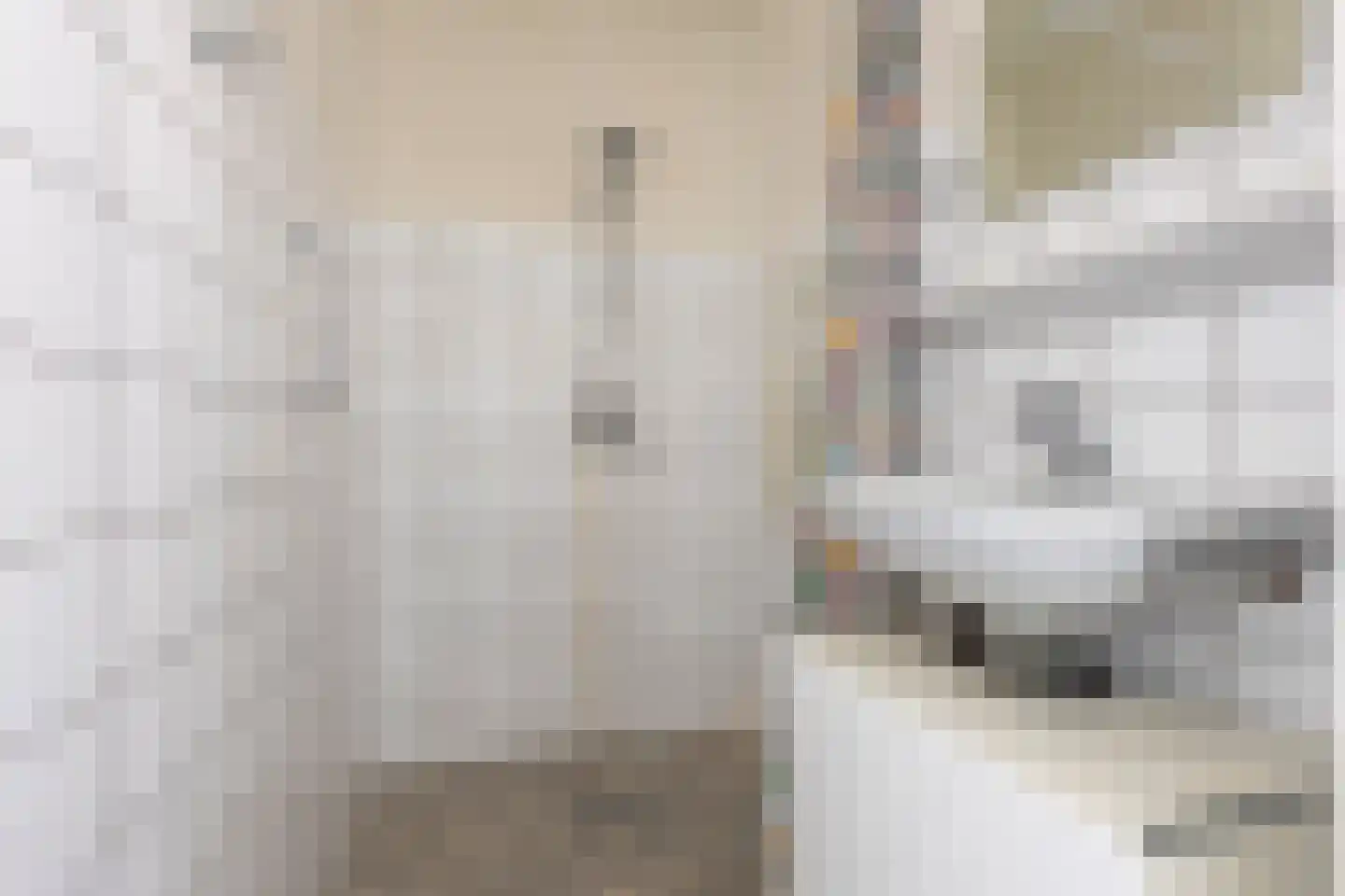 Gerichtstraat 3 Ten Boer thumbnail 29