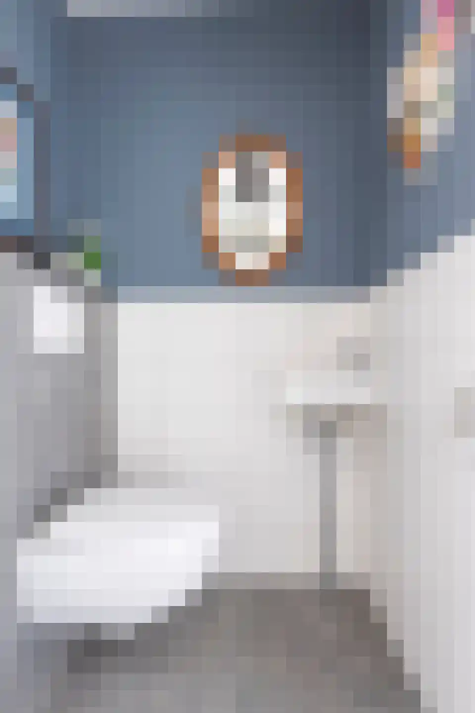 Gerichtstraat 3 Ten Boer thumbnail 30