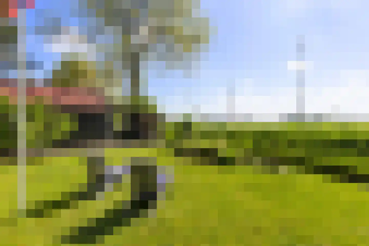 Gerichtstraat 3 Ten Boer thumbnail 35