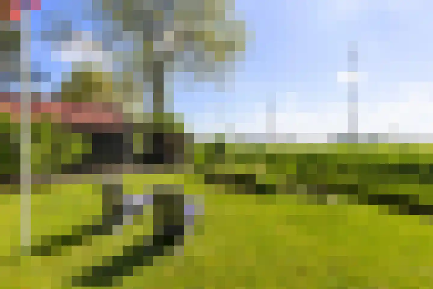 Gerichtstraat 3 Ten Boer thumbnail 35