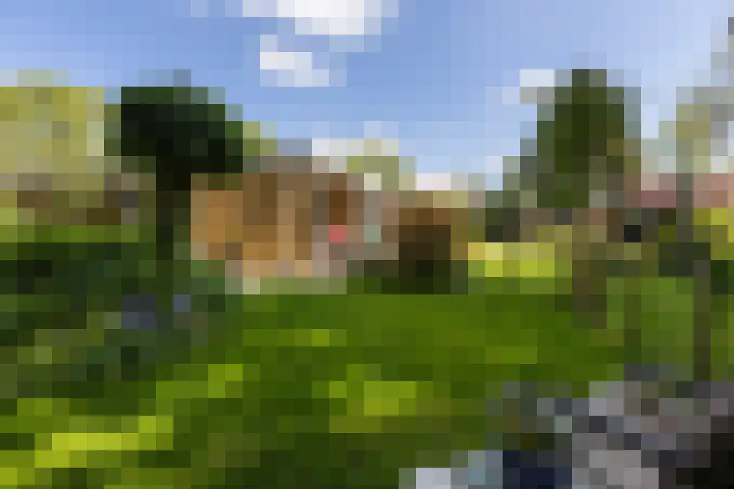 Gerichtstraat 3 Ten Boer thumbnail 39