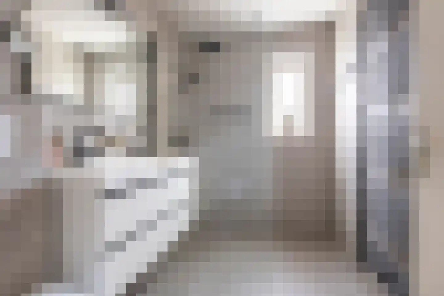 Gerichtstraat 3 Ten Boer thumbnail 4