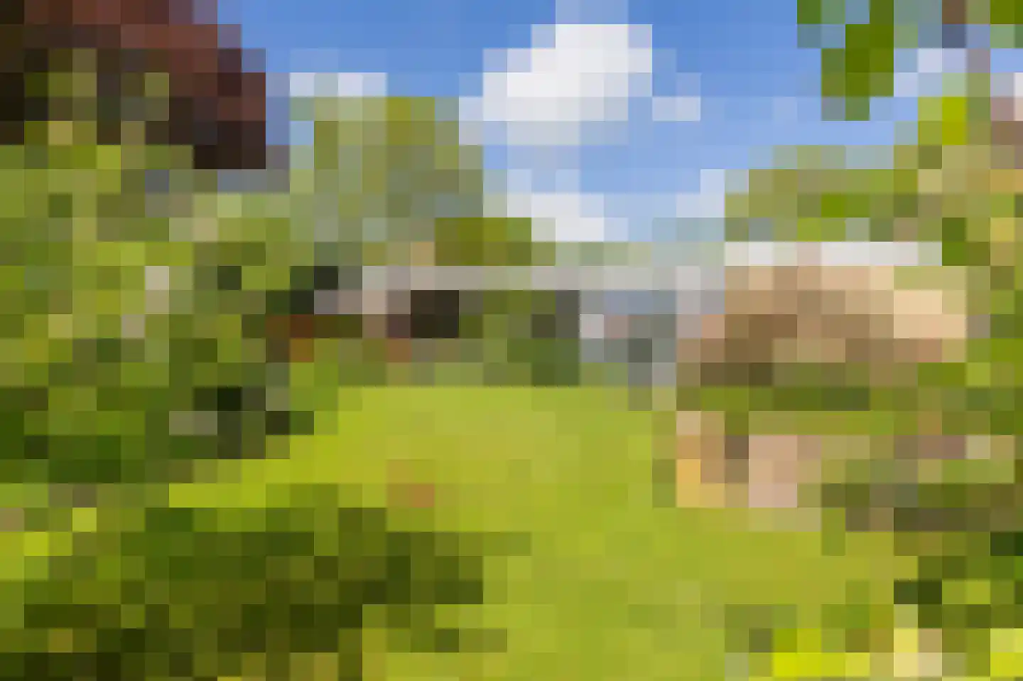 Gerichtstraat 3 Ten Boer thumbnail 40