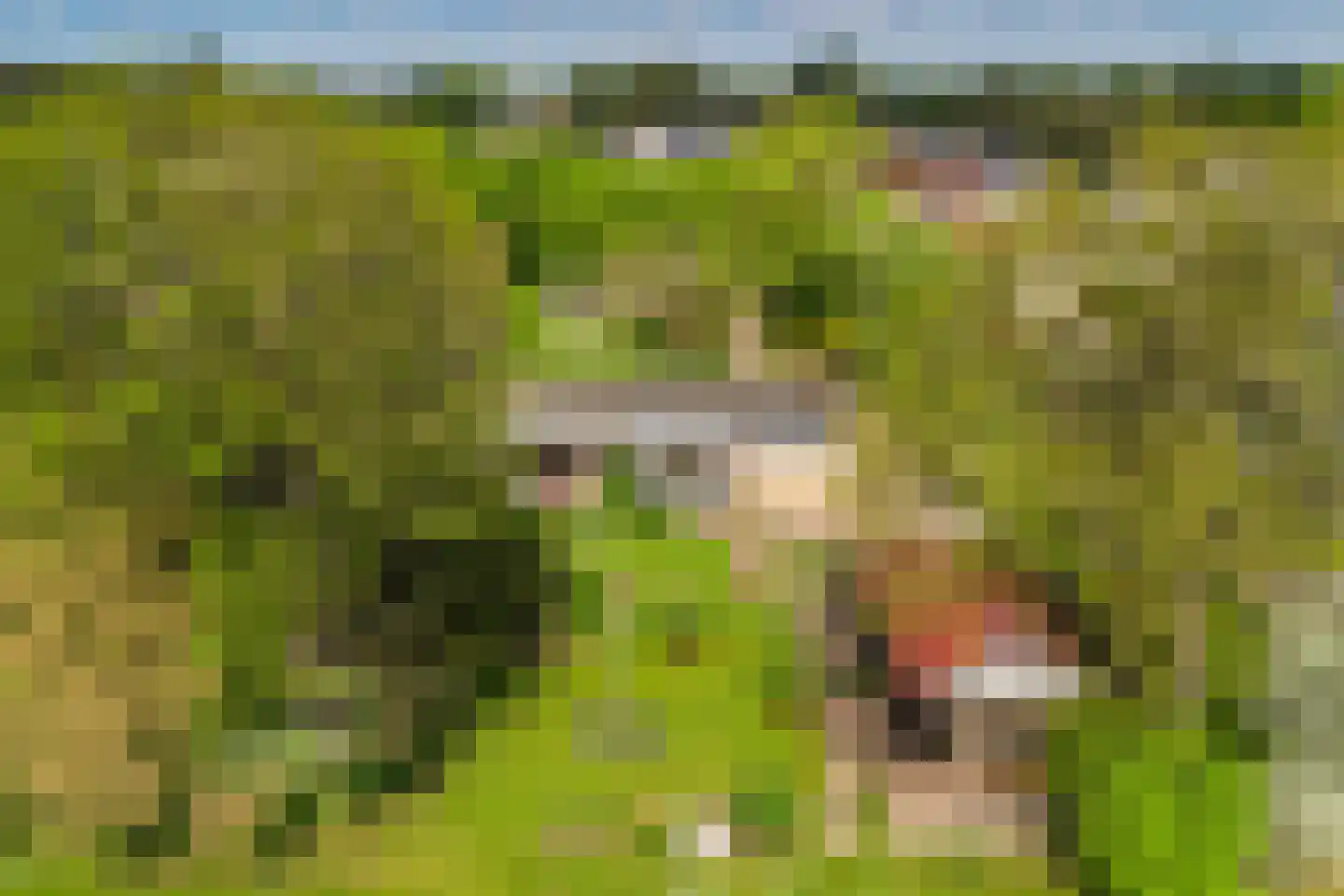 Gerichtstraat 3 Ten Boer thumbnail 44