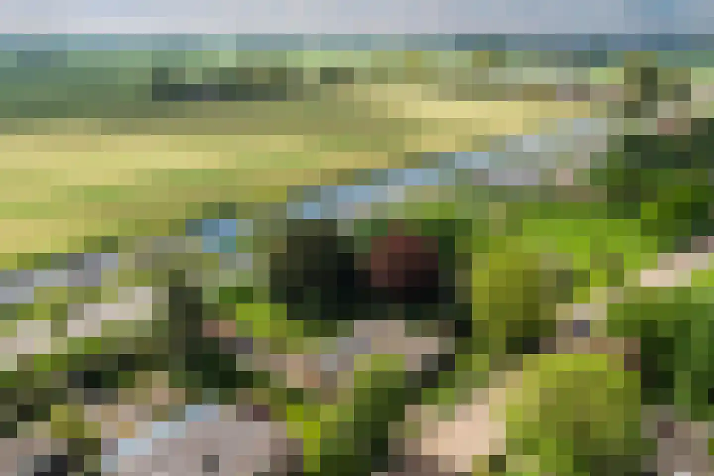 Gerichtstraat 3 Ten Boer thumbnail 45
