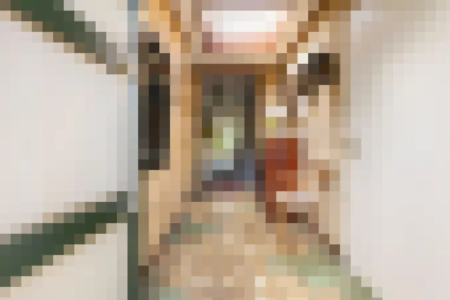 Gerichtstraat 3 Ten Boer thumbnail 8