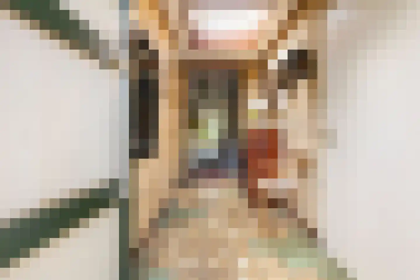 Gerichtstraat 3 Ten Boer thumbnail 8