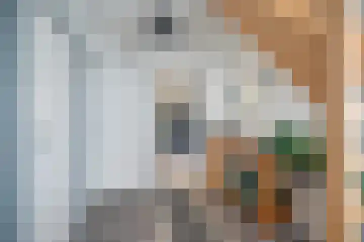 Gerichtstraat 55 Stein thumbnail 14