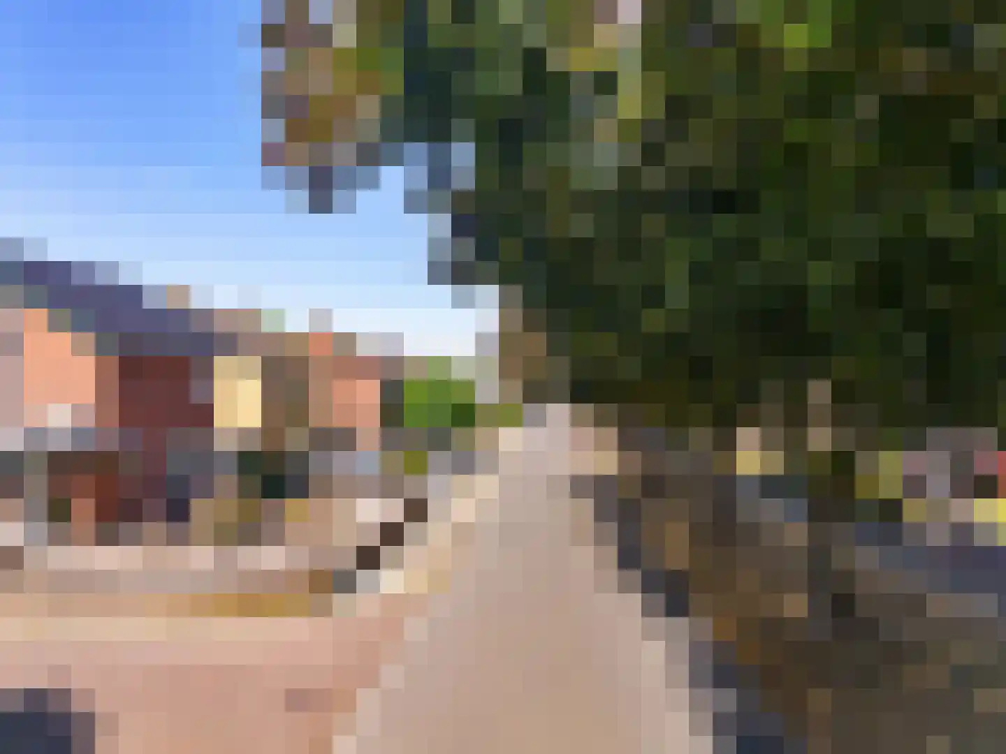Gerichtstraat 74 Stein thumbnail 37