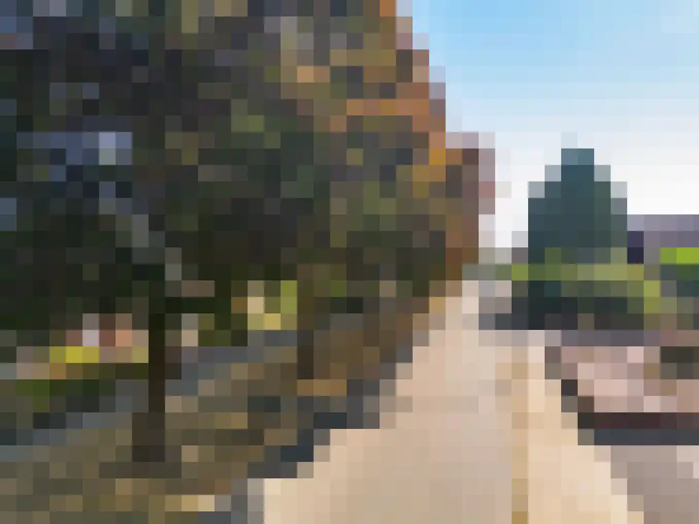 Gerichtstraat 74 Stein thumbnail 4