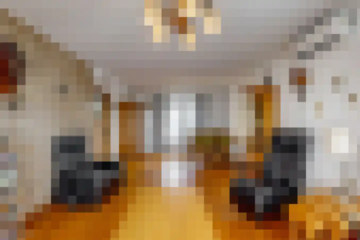 Gerichtstraat 74 Stein thumbnail 7