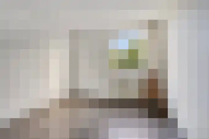 Gerichtstraat 8 Stein thumbnail 15
