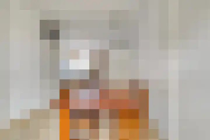 Gerichtstraat 8 Stein thumbnail 6