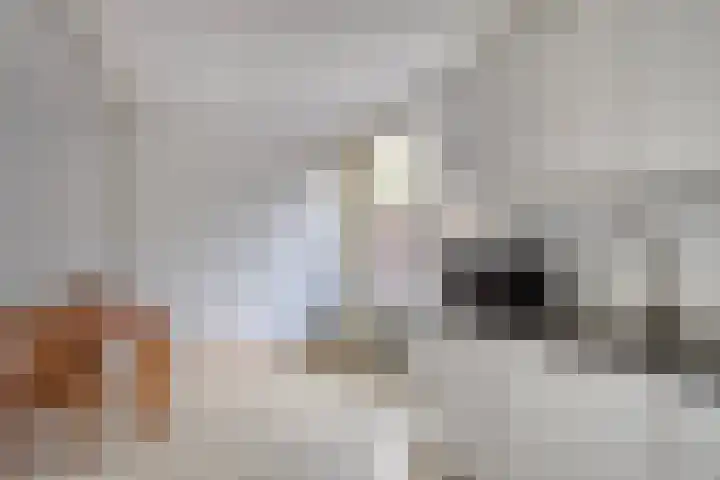 Gerichtstraat 8 Stein thumbnail 8