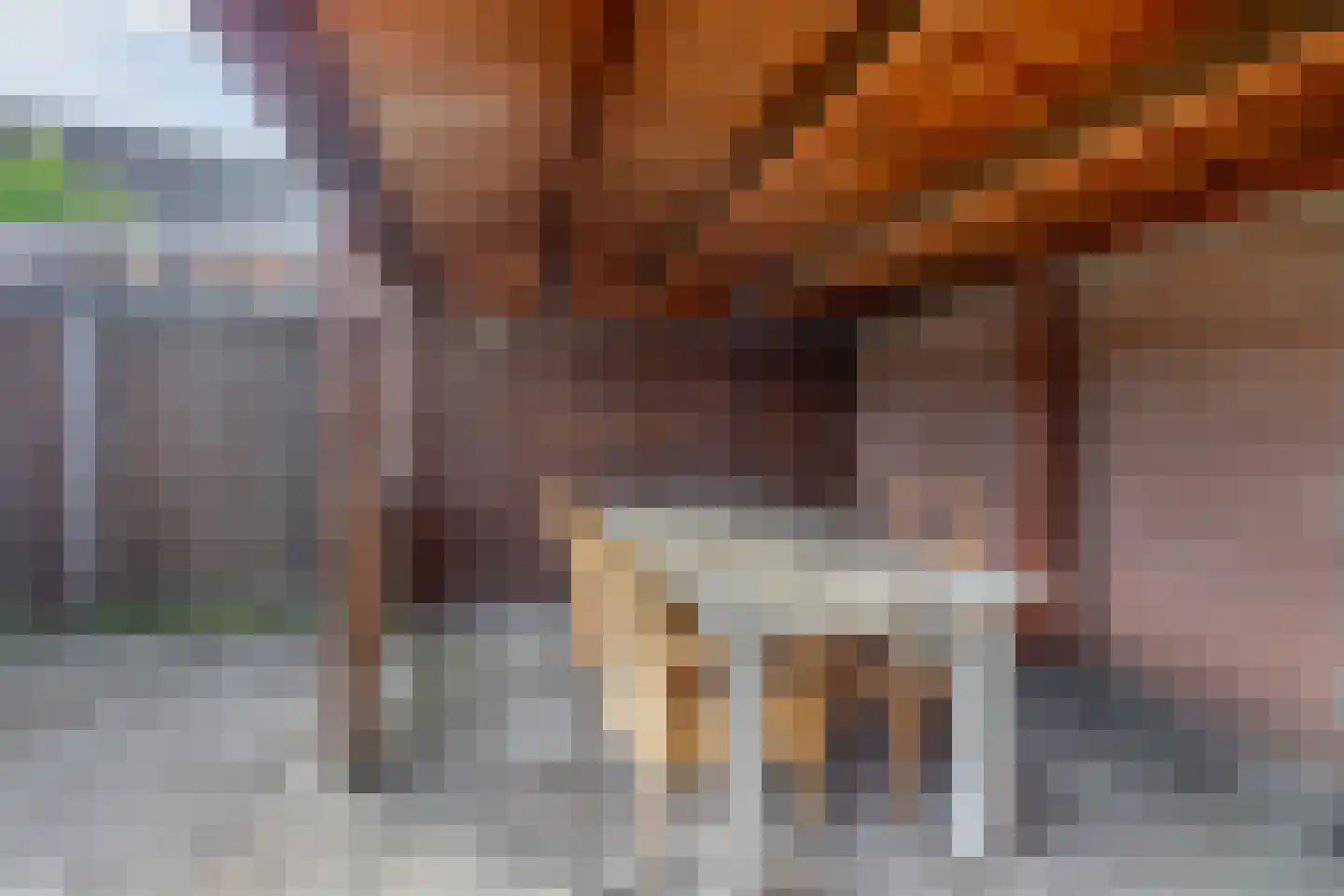 Gerlachusstraat 14 Loon op Zand thumbnail 19