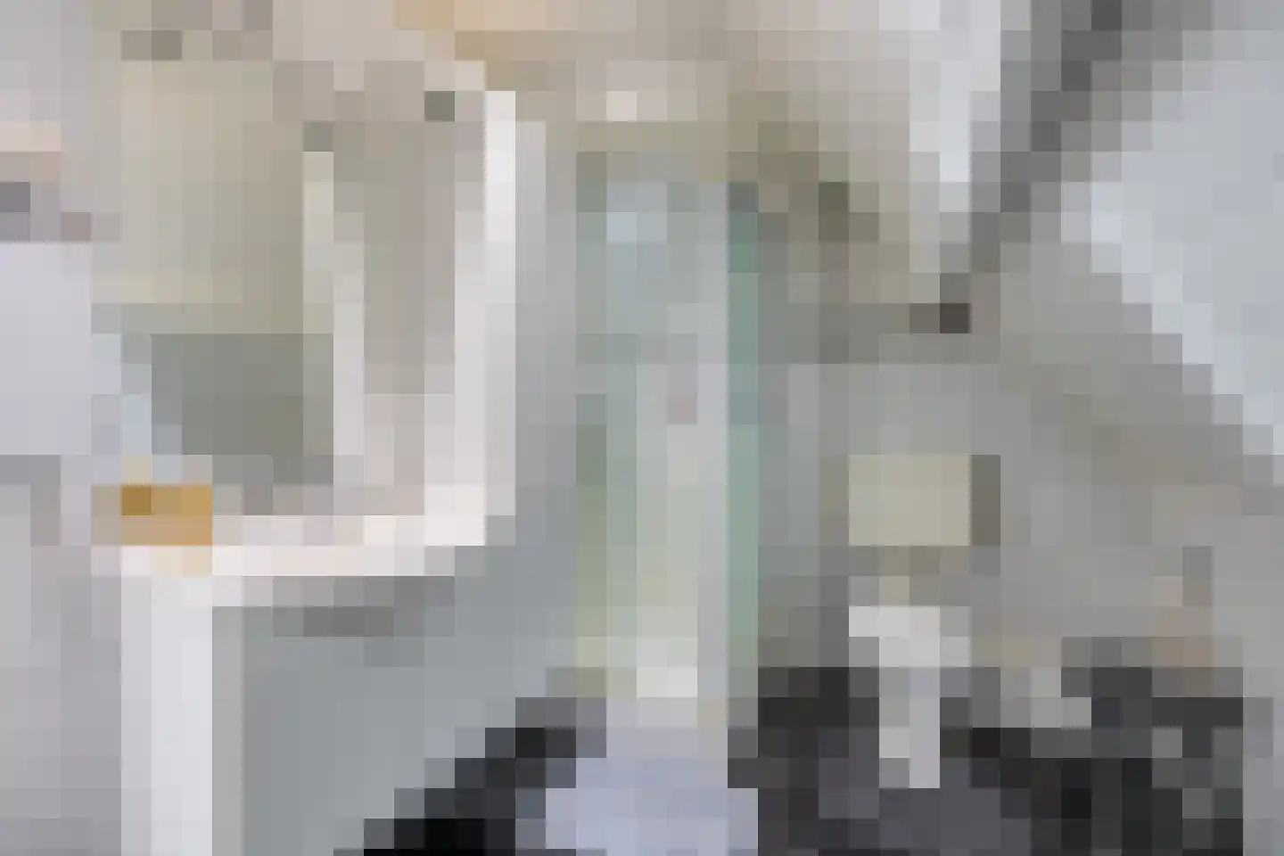 Gerlachusstraat 14 Loon op Zand thumbnail 24