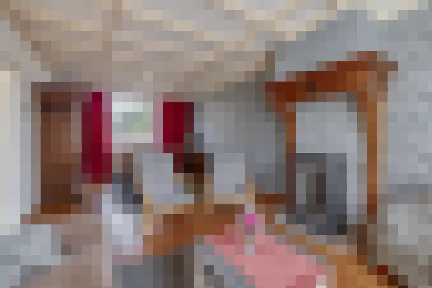 Gerlachusstraat 14 Loon op Zand thumbnail 4