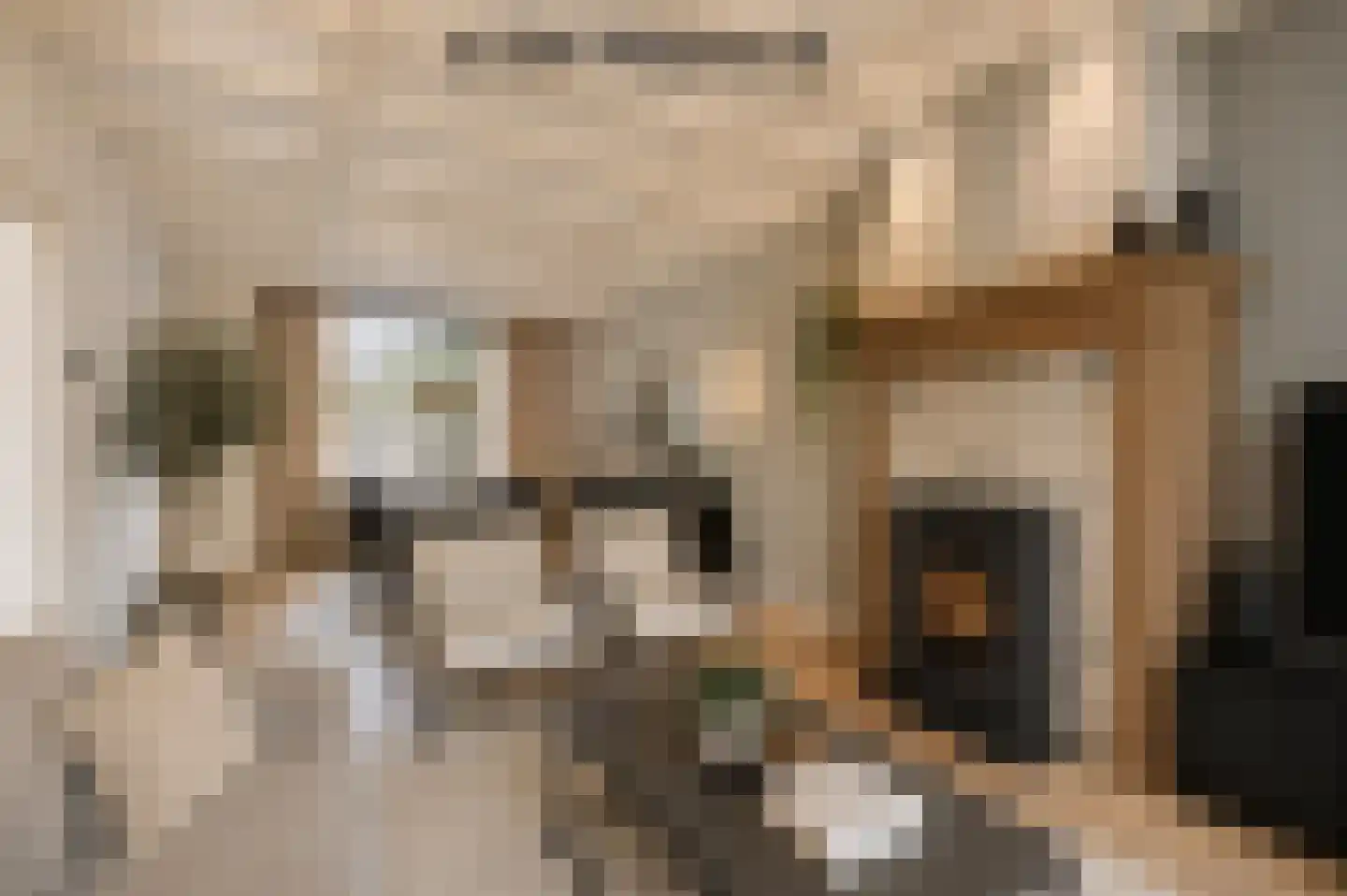 Gerlachusstraat 14 Loon op Zand thumbnail 5