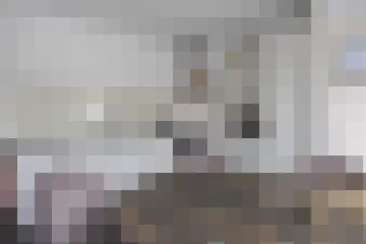 Gerlachusstraat 93 Loon op Zand thumbnail 11