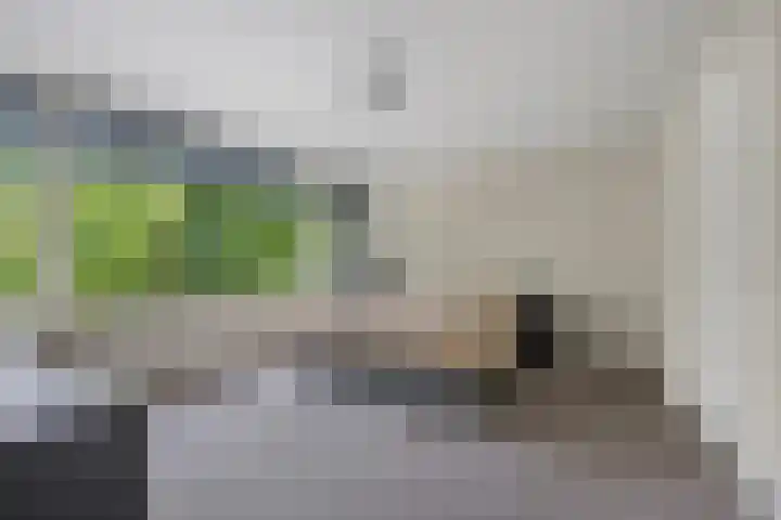 Gerlachusstraat 93 Loon op Zand thumbnail 13