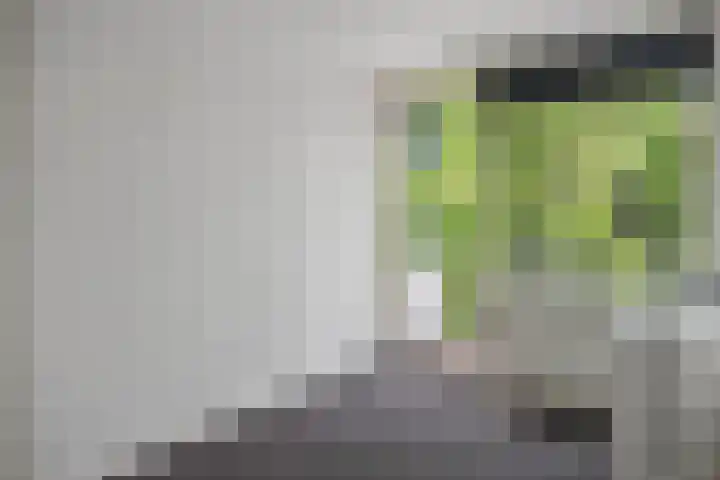 Gerlachusstraat 93 Loon op Zand thumbnail 17