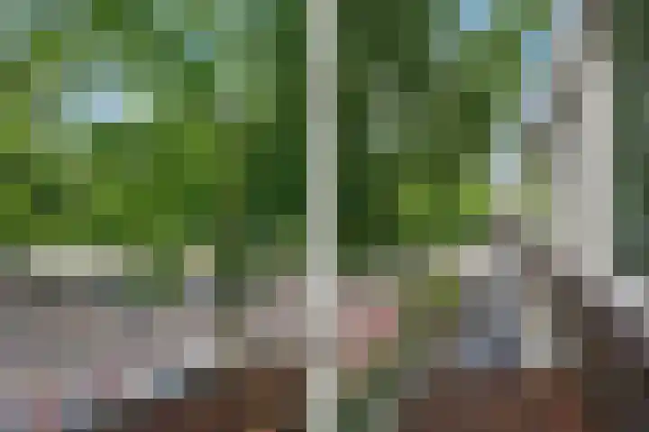 Gerlachusstraat 93 Loon op Zand thumbnail 21