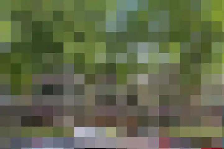 Gerlachusstraat 93 Loon op Zand thumbnail 25