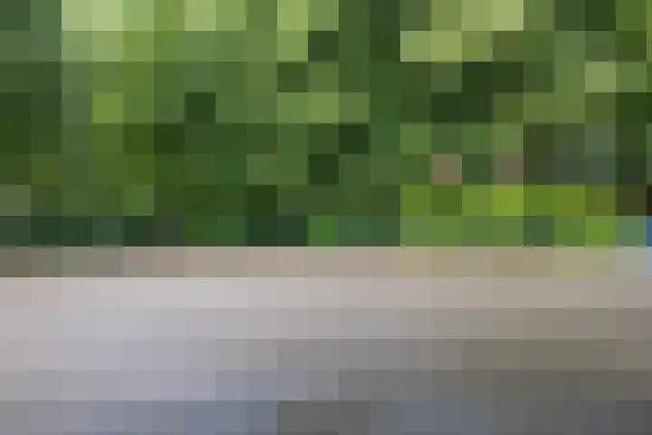 Gerlachusstraat 93 Loon op Zand thumbnail 26