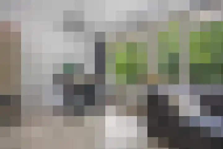 Gerlachusstraat 93 Loon op Zand thumbnail 4