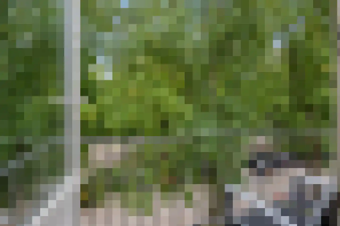 Gerlachusstraat 97 Loon op Zand thumbnail 22