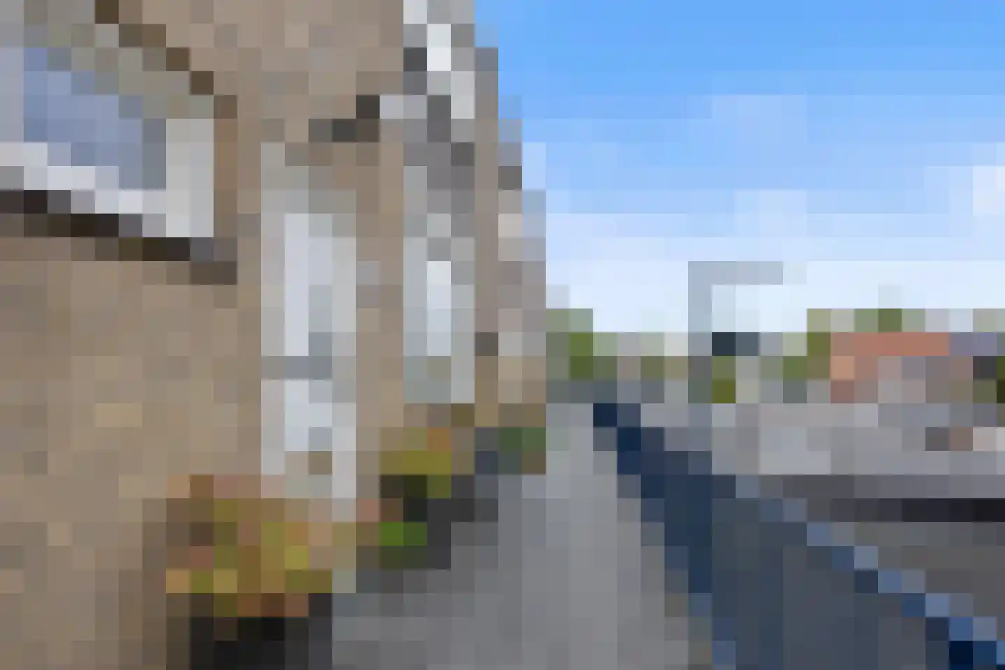 Gerlachusstraat 97 Loon op Zand thumbnail 29