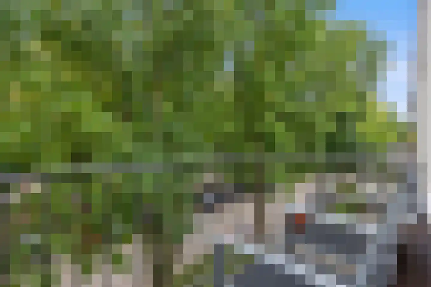 Gerlachusstraat 97 Loon op Zand thumbnail 4