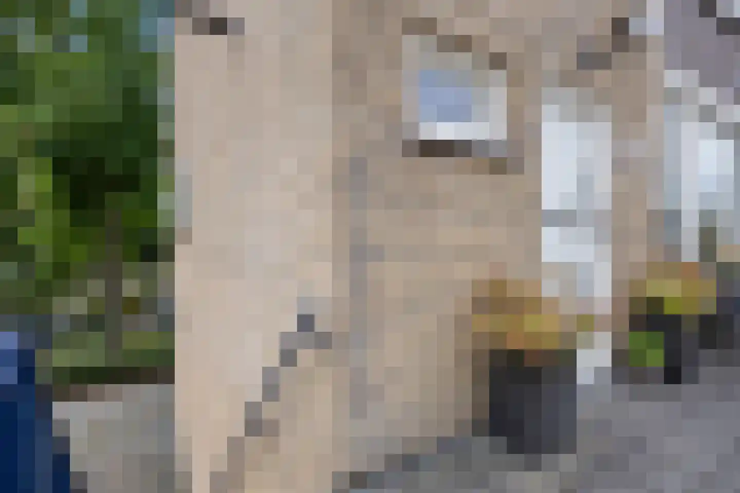 Gerlachusstraat 97 Loon op Zand thumbnail 6