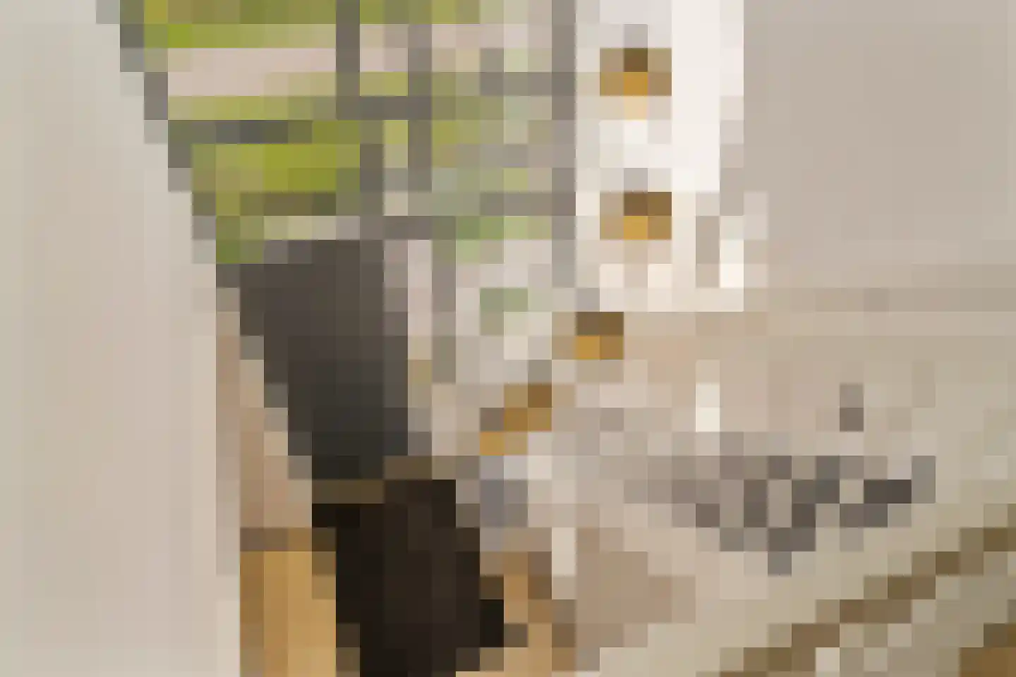 Gerleeweg 7 A Noordwijk thumbnail 36