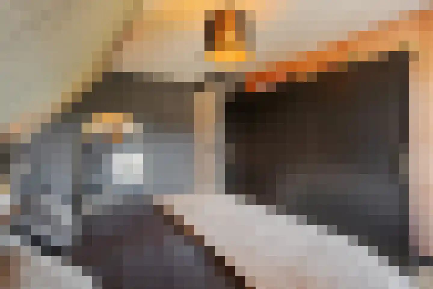 Gerleeweg 7 A Noordwijk thumbnail 38
