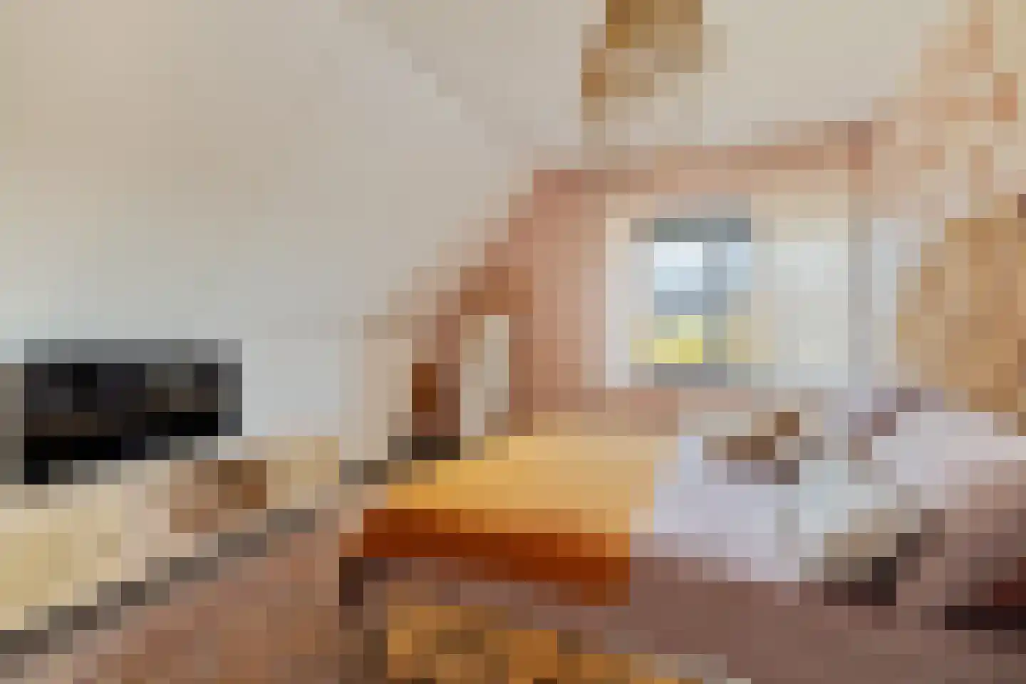Gerleeweg 7 A Noordwijk thumbnail 39