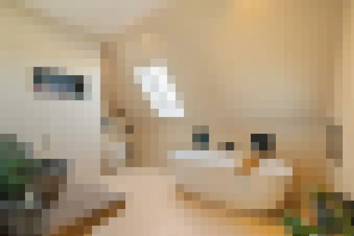 Gerleeweg 7 A Noordwijk thumbnail 41
