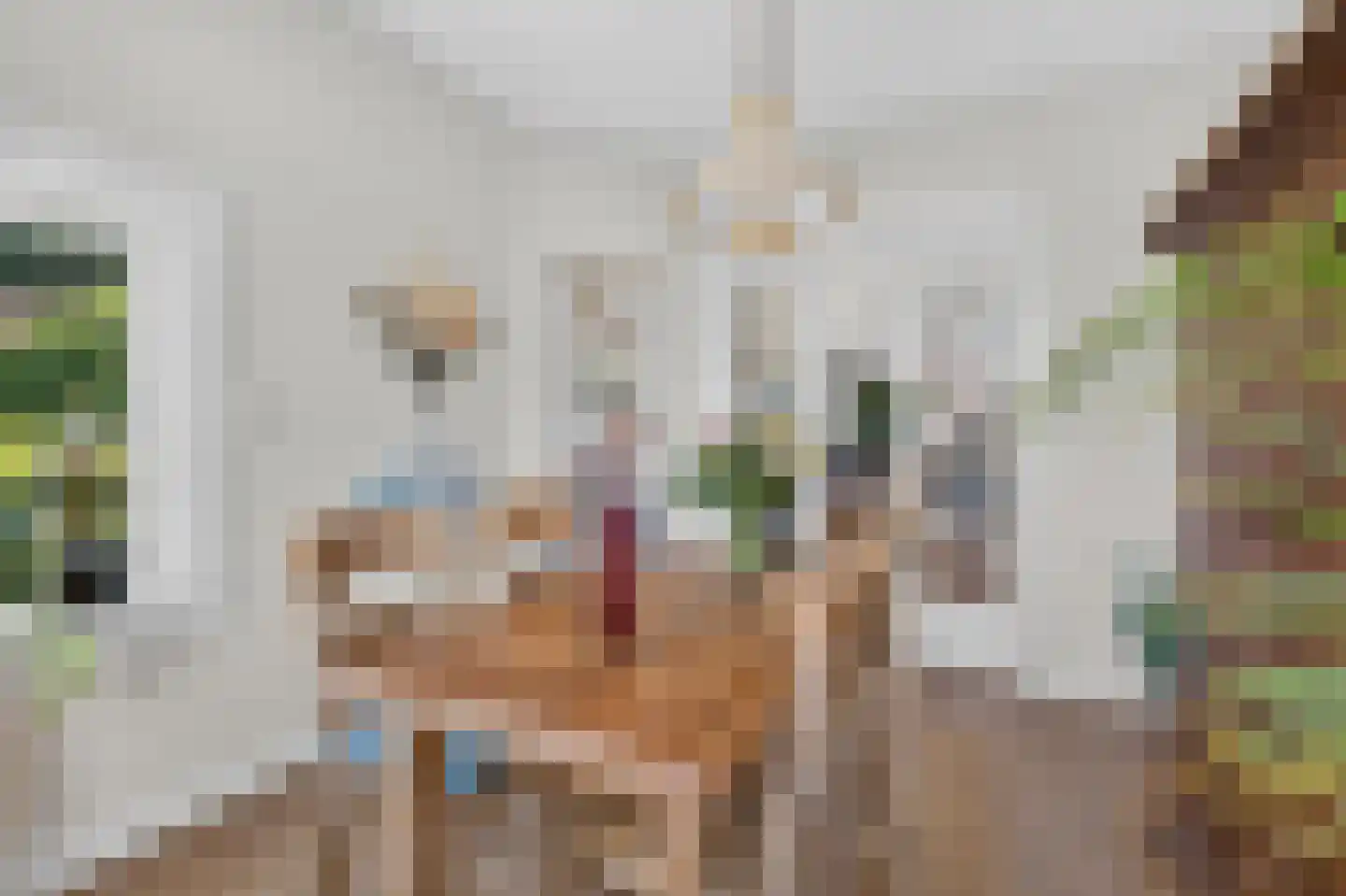 Germanenlaan 1 Apeldoorn thumbnail 13