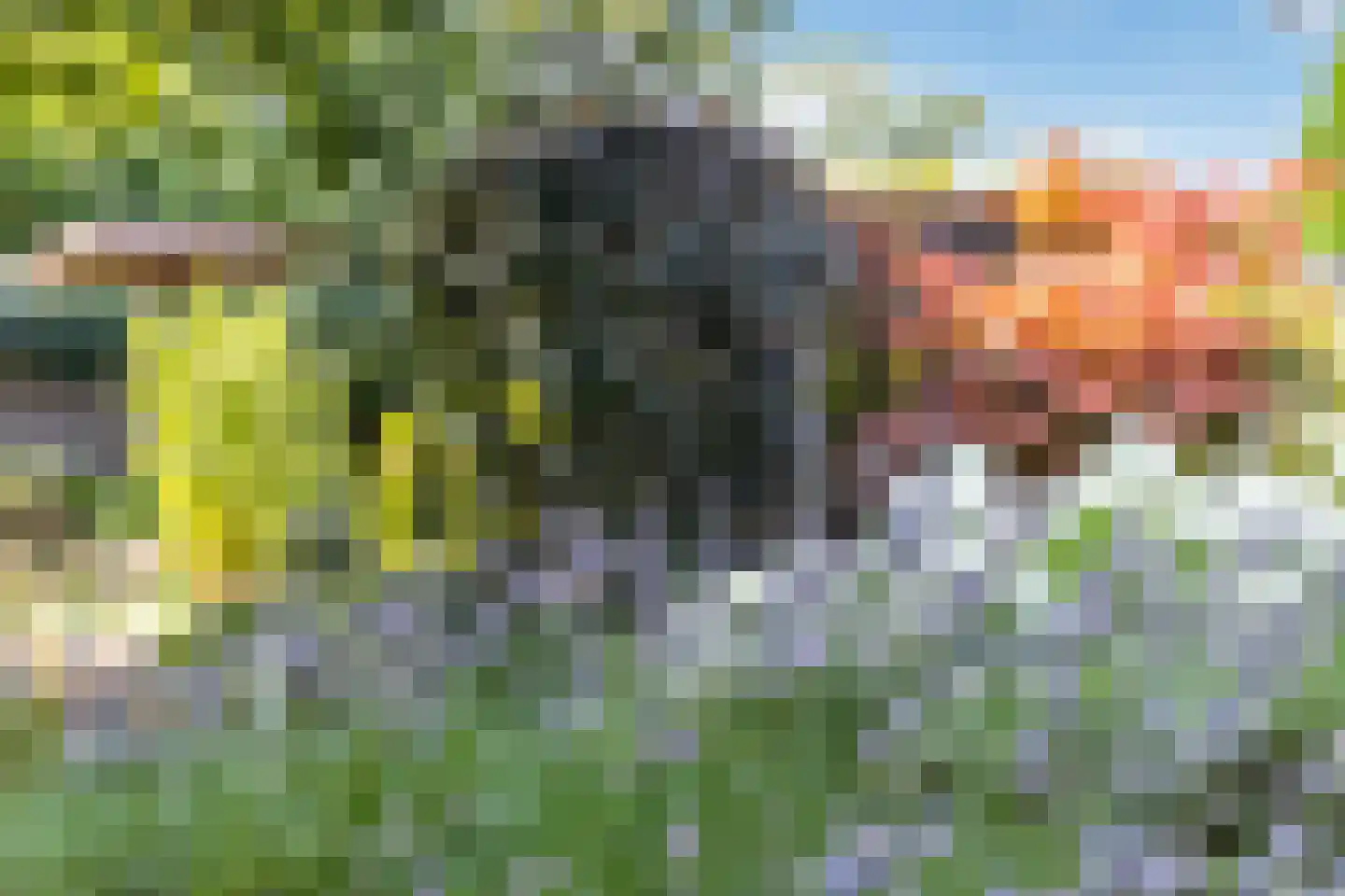 Germanenlaan 1 Apeldoorn thumbnail 34
