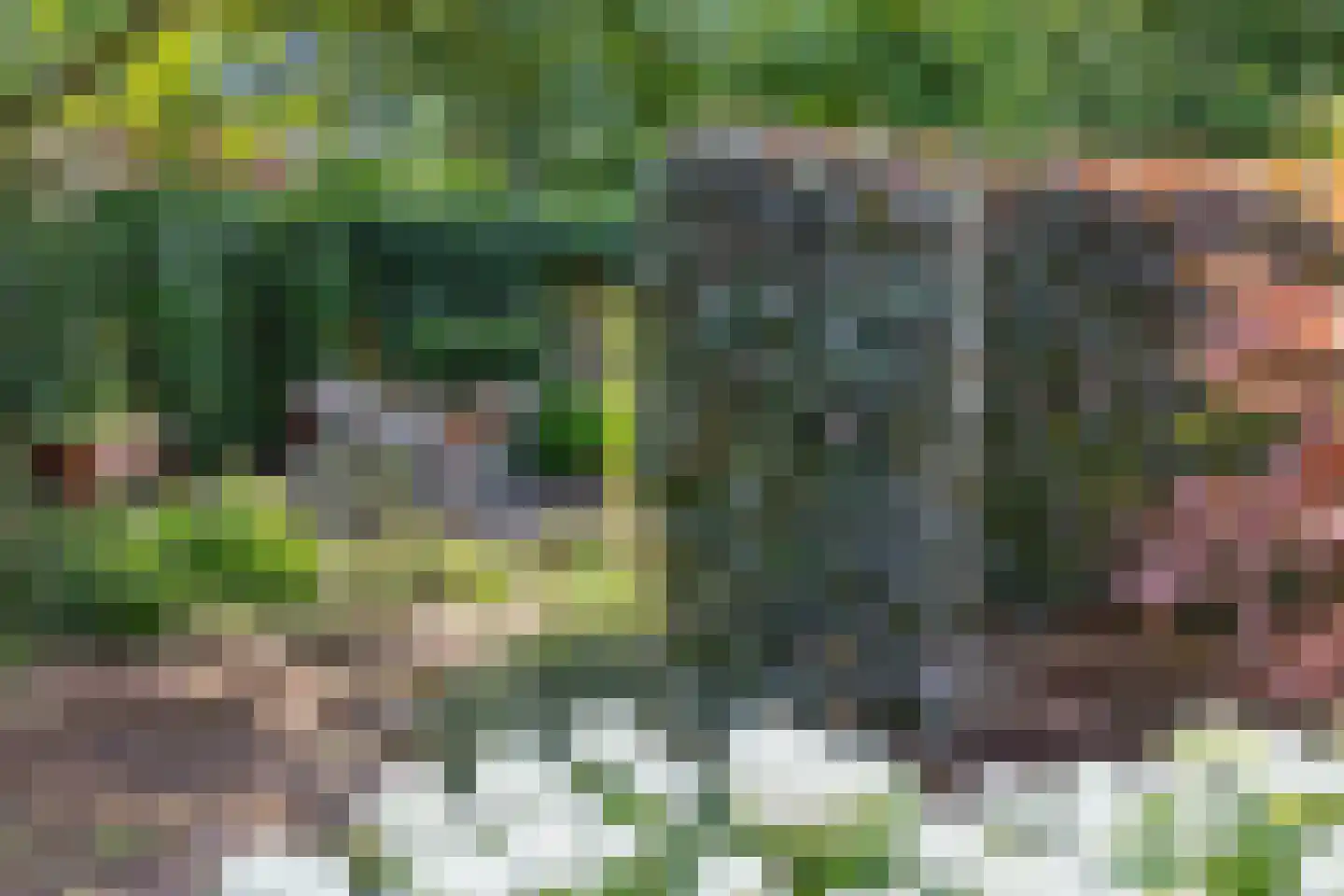 Germanenlaan 1 Apeldoorn thumbnail 35