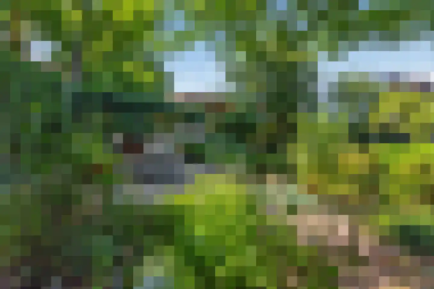 Germanenlaan 1 Apeldoorn thumbnail 38