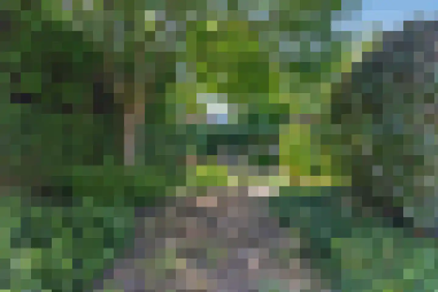 Germanenlaan 1 Apeldoorn thumbnail 39