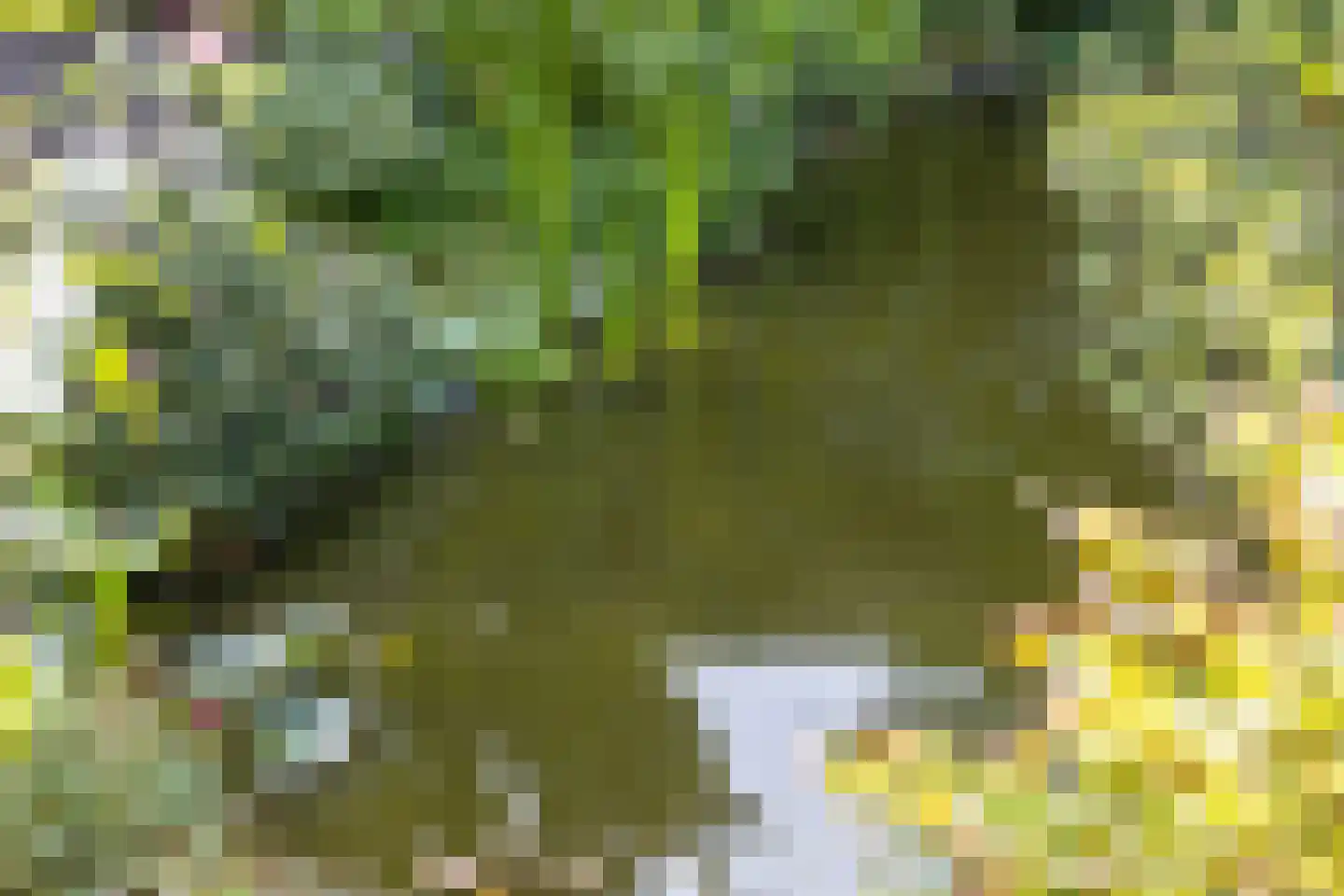 Germanenlaan 1 Apeldoorn thumbnail 40