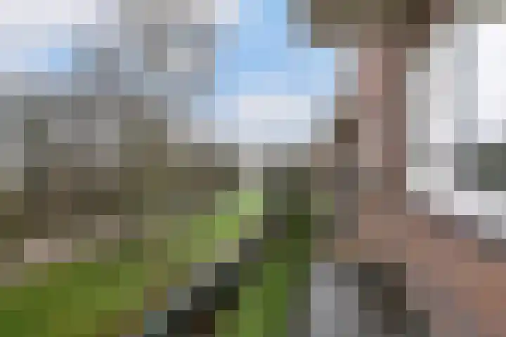 Germanenlaan 106 Apeldoorn thumbnail 19
