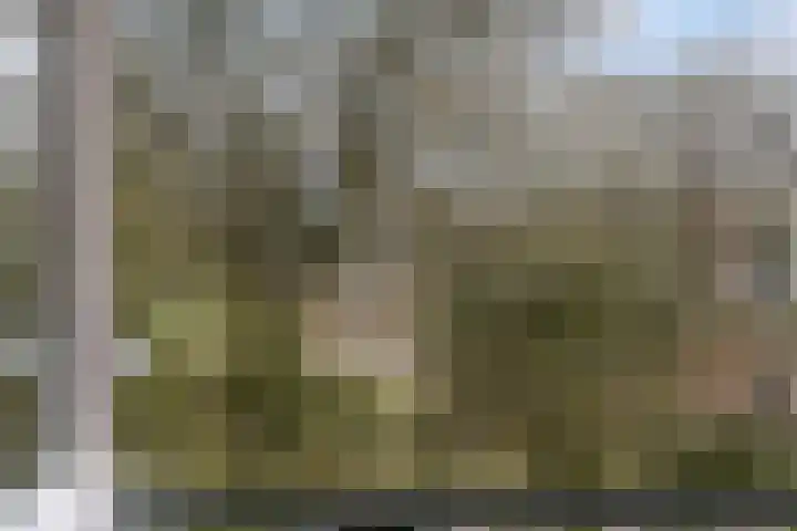 Germanenlaan 106 Apeldoorn thumbnail 25