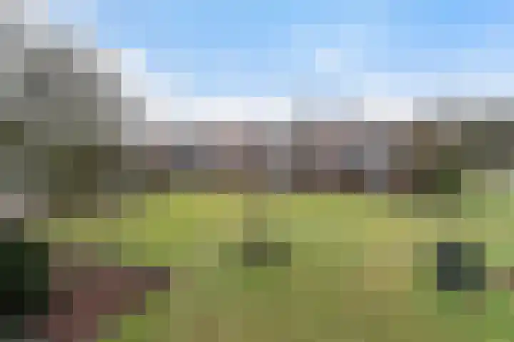 Germanenlaan 106 Apeldoorn thumbnail 26