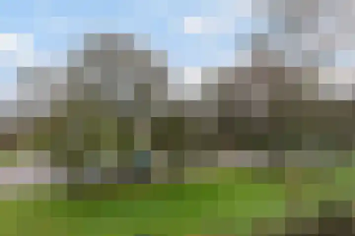 Germanenlaan 106 Apeldoorn thumbnail 28