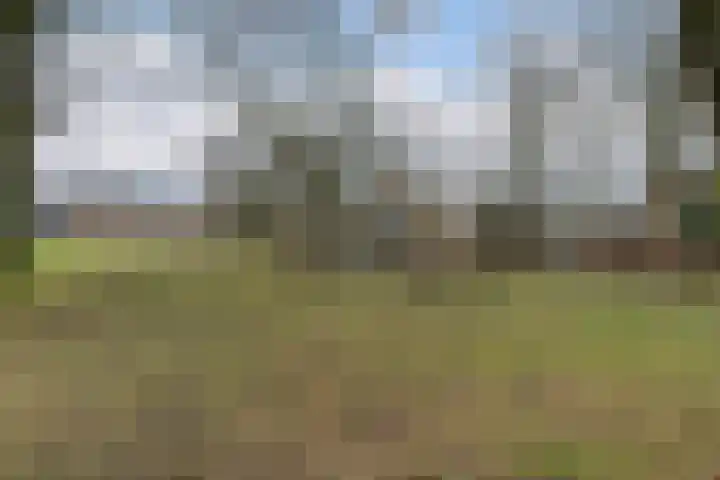 Germanenlaan 106 Apeldoorn thumbnail 29