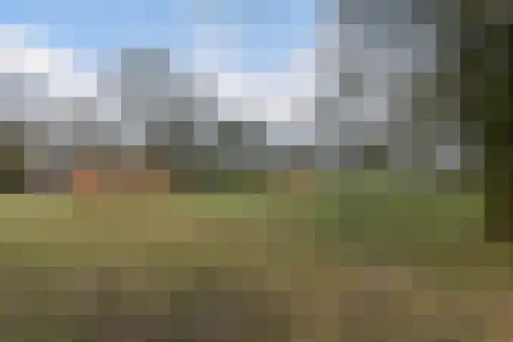 Germanenlaan 106 Apeldoorn thumbnail 31
